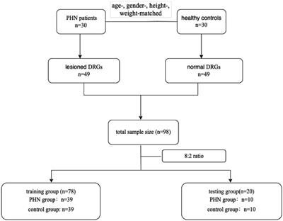 MRI-based radiomics features uncover the micro-change of dorsal root ganglia lesion for patients with post-herpetic neuralgia